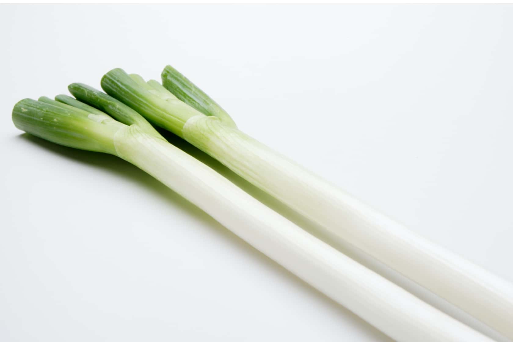 ねぎ | 業務用商品- 富士通商株式会社